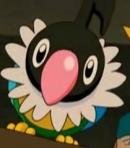 Chatot (Phantom's)