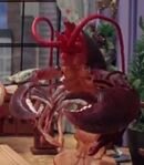 Lobster Lady