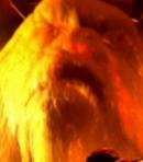 Nestene Consciousness