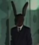 Jack Rabbit