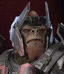 Tovarus