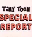 Tiny Toons Special Report Announcer