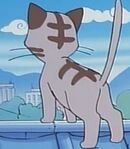 Kitten's Mom