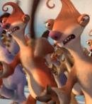 Miscellaneous Animals