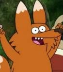 Fox Guy
