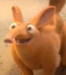 Andrew Aardvark