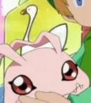 Primary Village Koromon