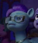 Pegasus Concert Goer