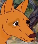 Mrs. Dingo