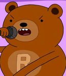 Rap Bear