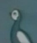Pidgeon