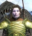 Boethia's Chosen Bosmer