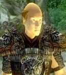 Male Altmer Marauder Battlemage