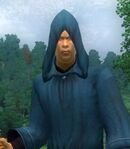 Altmer Male Conjurer Adept