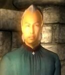 Male Altmer Fort Ontus Mage