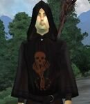 Altmer Male Necromancer Adept