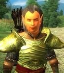 Bosmer Male Bandit Bowman