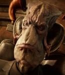 Vice President Aslik