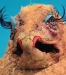 Bird (Bird Box)