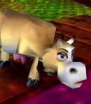 Martha the Cow