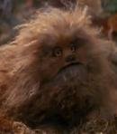 Fizzgig
