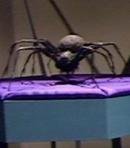 Queen Spider
