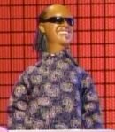 Stevie Wonder