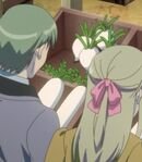 Celdic Market Customers