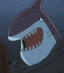 Shark / Gunther Hardwicke