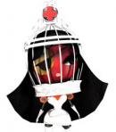 Eve Silva Paragorica