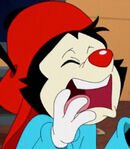 Wakko in Spanish
