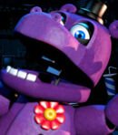 Mr. Hippo