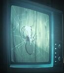 Documentary Commentator