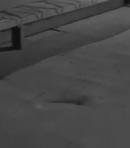 The Invisible Man / Tommy Nelson