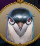 Pigeon Warrior