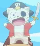 Pirate Cat