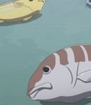 Female Customer (Episode 27)