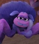 Maeve the Funnel Web Spider