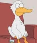 Duck #1