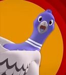 Pidgeon Announcer