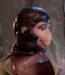 Dr. Zira