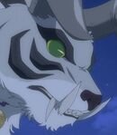 White Tiger Kyuki