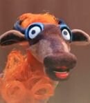 Wildebeest Wife