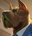 Business Dog Anubis