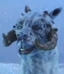 Susan the Tauntaun