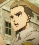 Porco Galliard (Young)