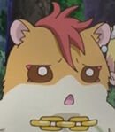 Hariham Harry (Hamster Form)