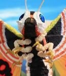 Mothra
