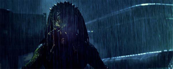 Predator