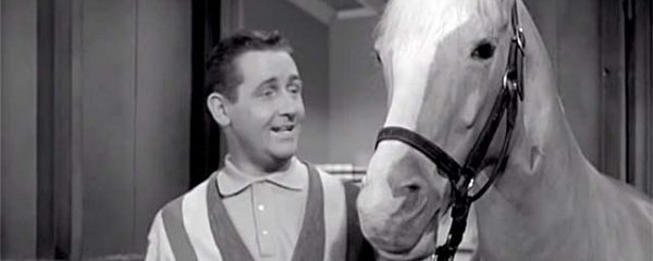 Mister Ed